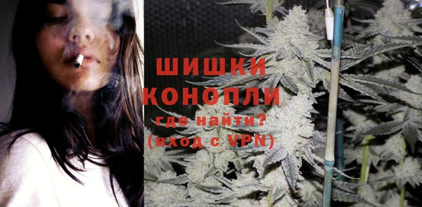 Альфа ПВП Аркадак