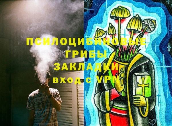 Альфа ПВП Аркадак