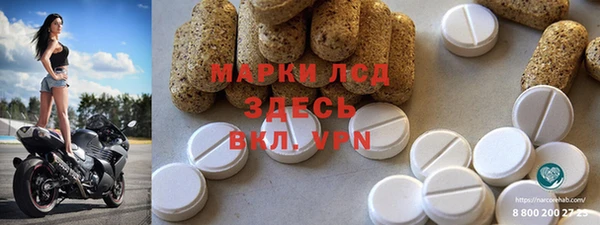 стаф Верея