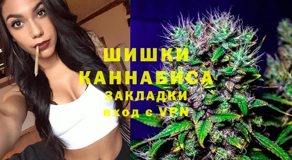 Альфа ПВП Аркадак