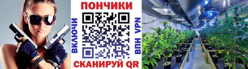 МАРИХУАНА Ganja  купить   ссылка на мегу   Оса 